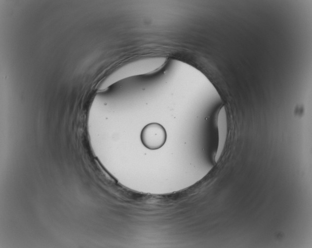 X0000113140325200910021445