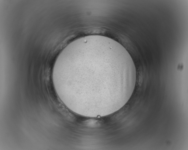 X0000113140326200910021445