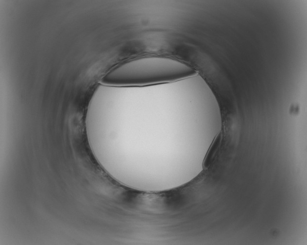 X0000113140327200910021445