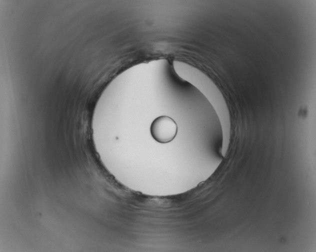 X0000113140328200910021445