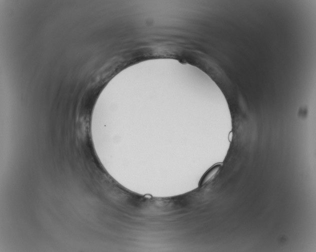 X0000113140329200910021445