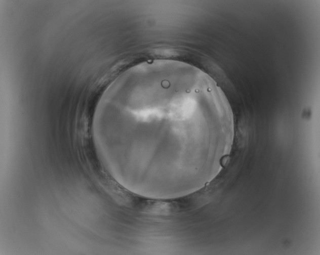 X0000113140330200910021445