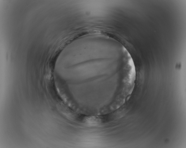 X0000113140331200910021445
