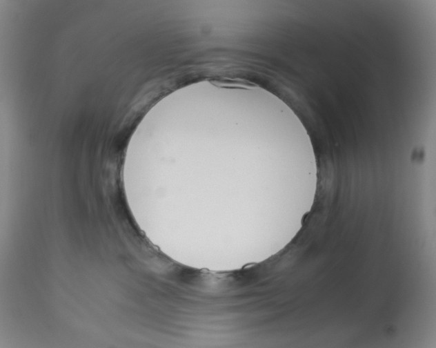 X0000113140333200910021445