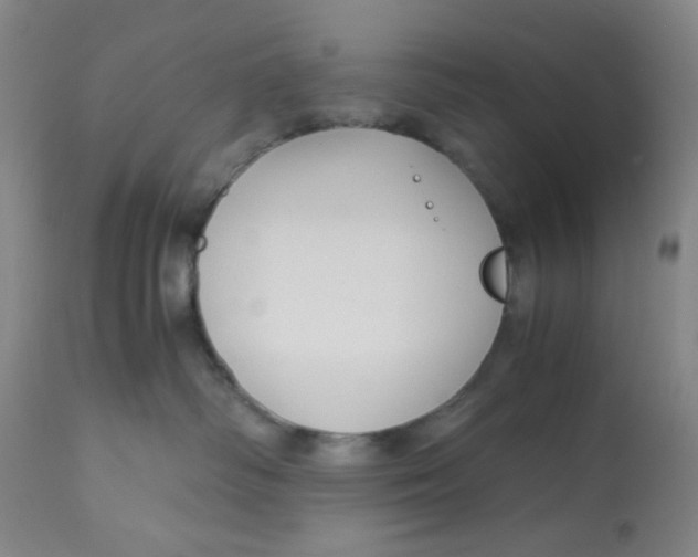 X0000113140334200910021445