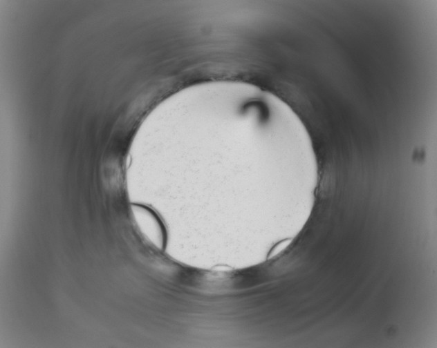 X0000113140335200910021445