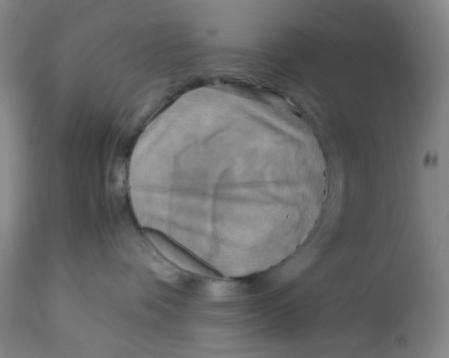 X0000113140336200910021445