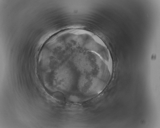 X0000113140337200910021444