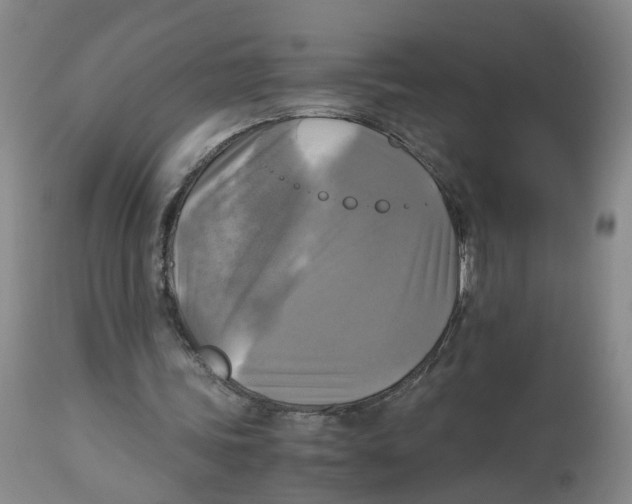 X0000113140339200910021445