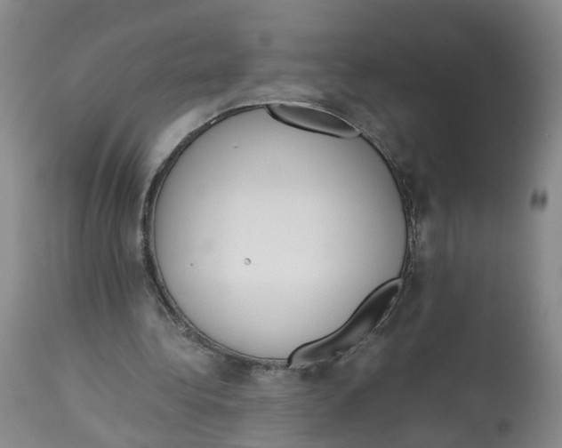 X0000113140340200910021445