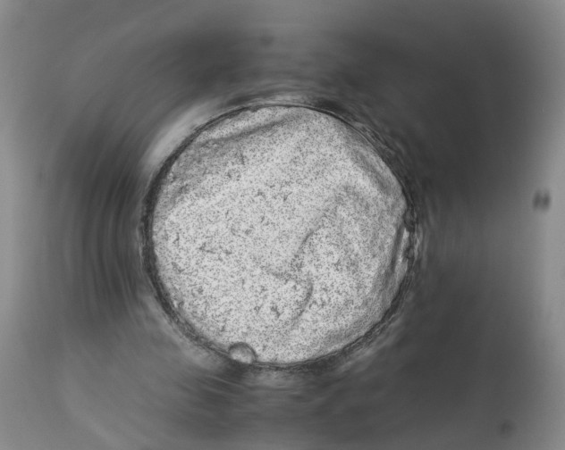 X0000113140341200910021445