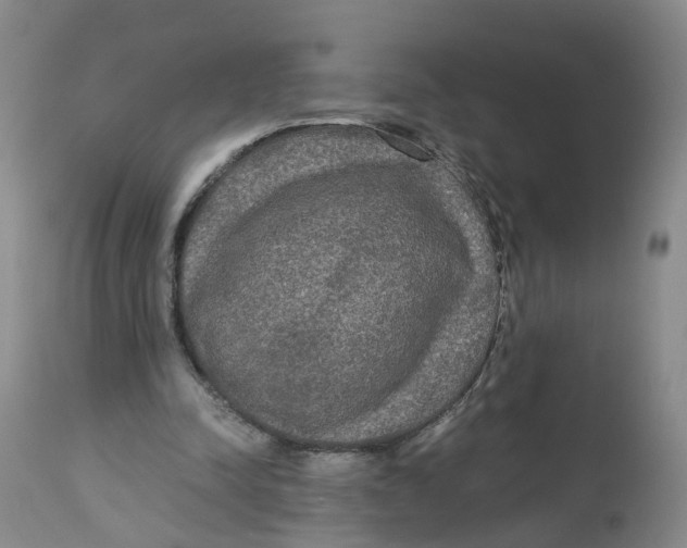 X0000113140342200910021445