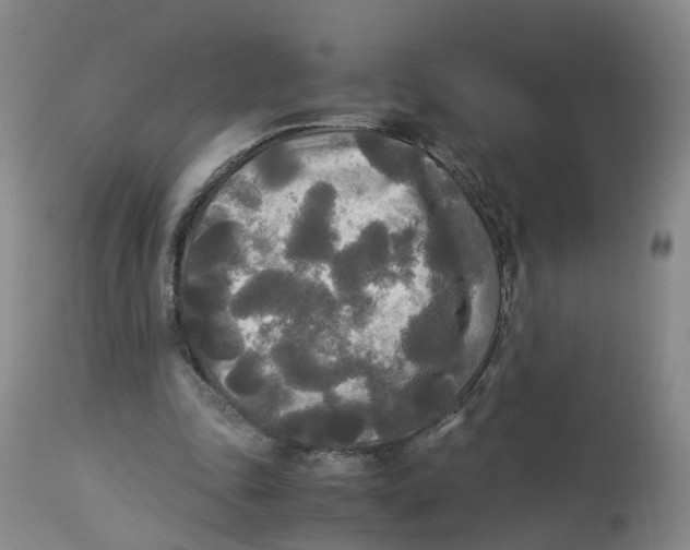 X0000113140343200910021445