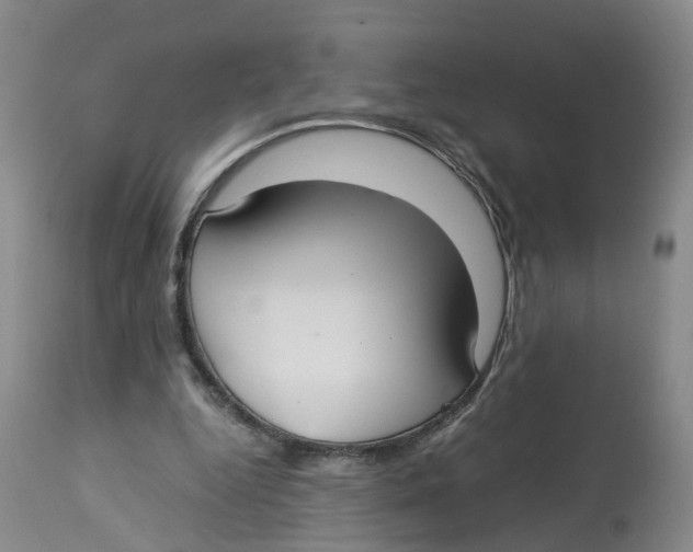 X0000113140344200910021445