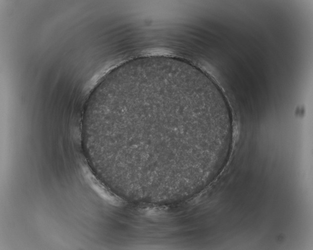 X0000113140345200910021445