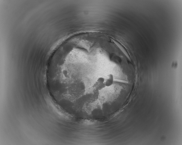 X0000113140346200910021445