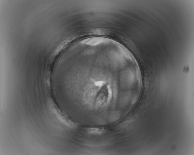 X0000113140347200910021445