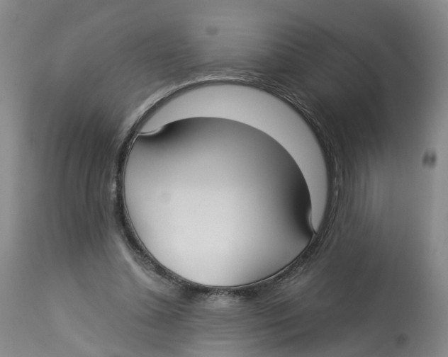 X0000113140348200910021445