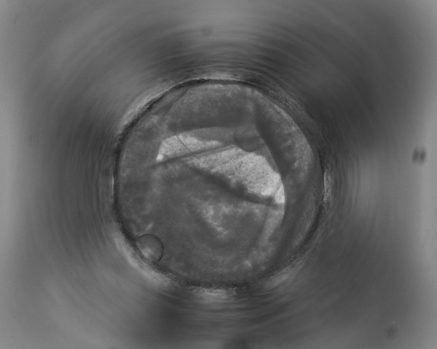 X0000113140349200910021445