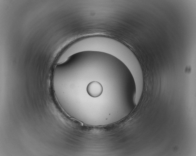 X0000113140350200910021445
