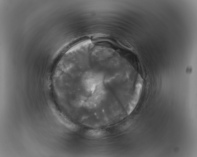 X0000113140351200910021445