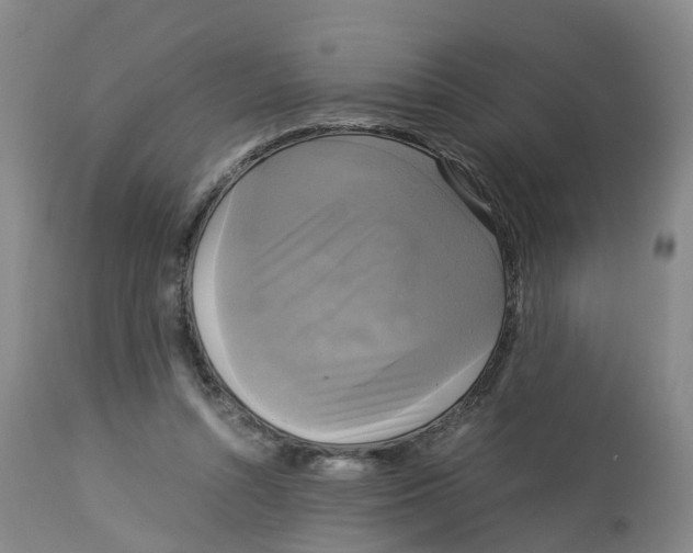 X0000113140352200910021445