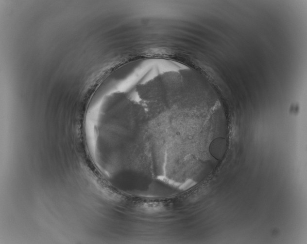 X0000113140353200910021445