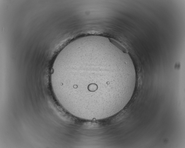X0000113140354200910021445