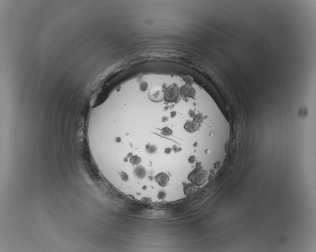 X0000113140356200910021445