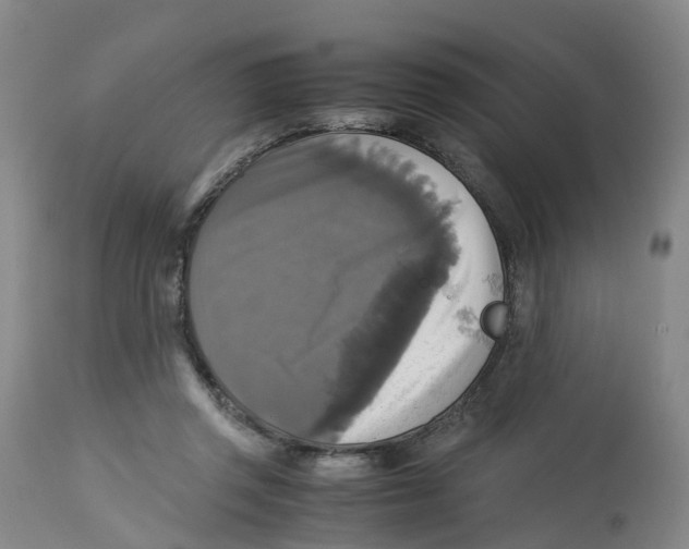 X0000113140357200910021445