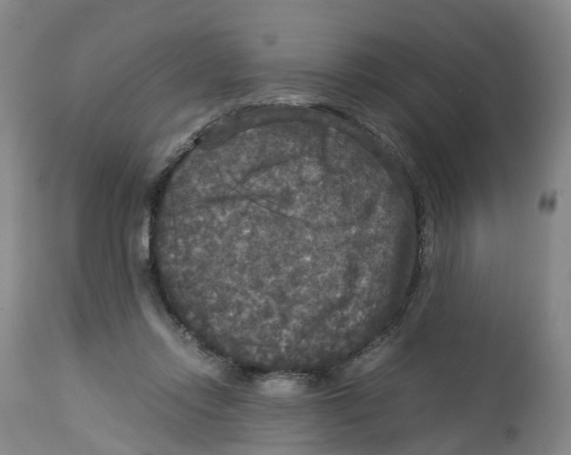 X0000113140358200910021445