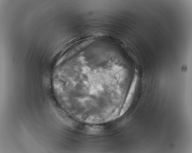 X0000113140359200910021445