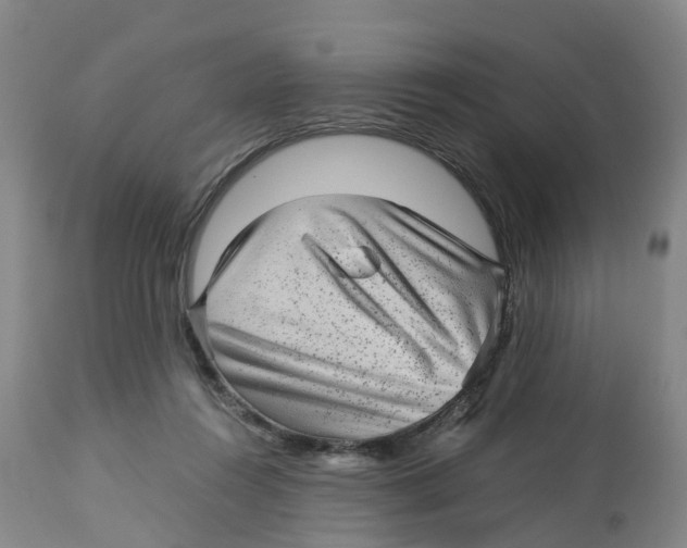 X0000113140360200910021445