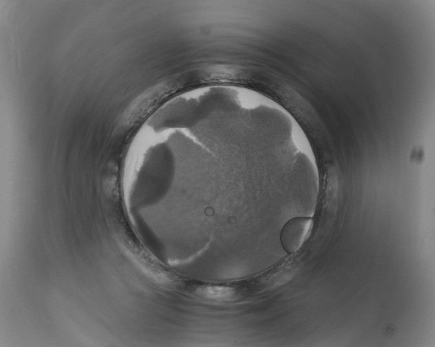 X0000113140361200910021445