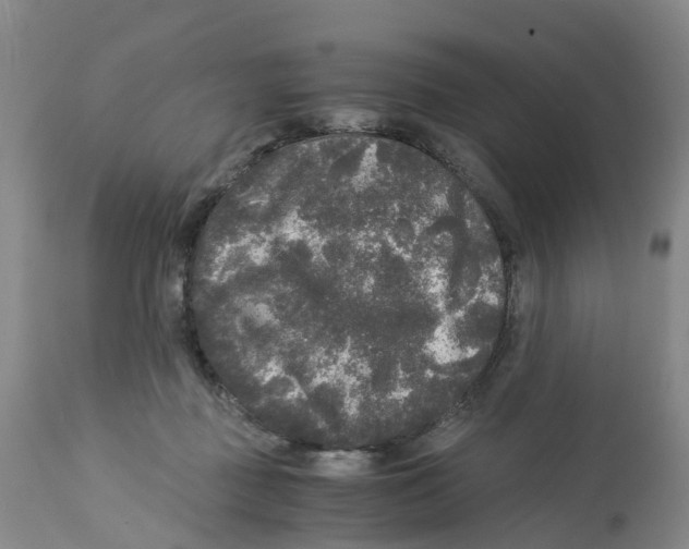 X0000113140363200910021445
