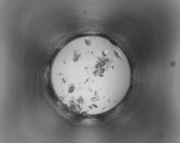 X0000113140364200910021445