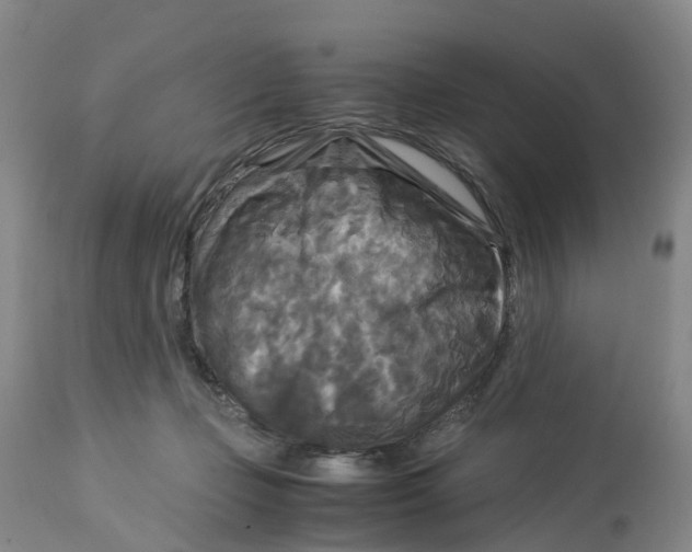 X0000113140365200910021445