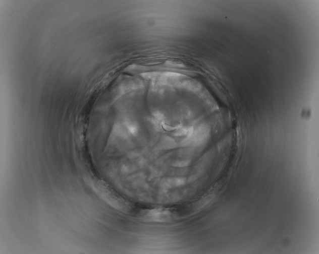 X0000113140366200910021445