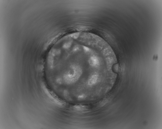 X0000113140367200910021445