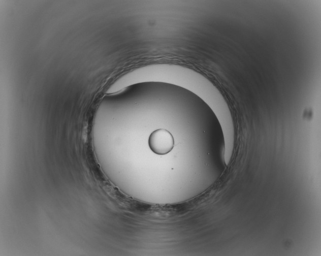 X0000113140368200910021445