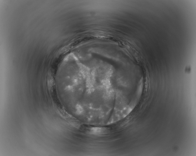 X0000113140371200910021445