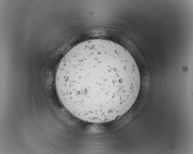 X0000113140372200910021445