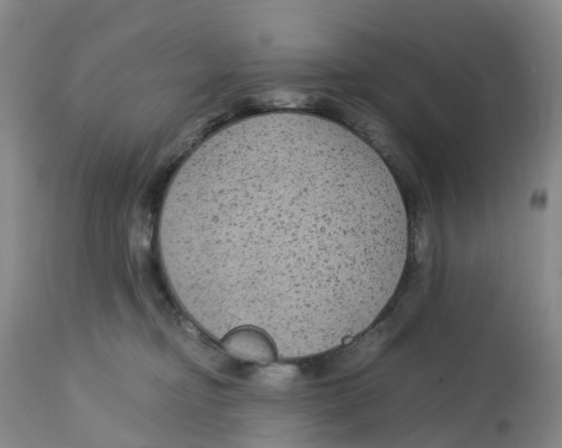 X0000113140374200910021445