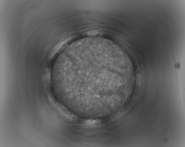 X0000113140375200910021445