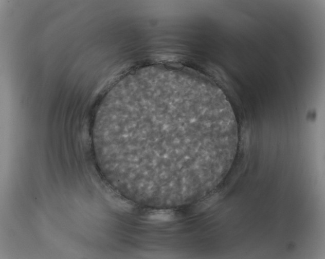 X0000113140377200910021445