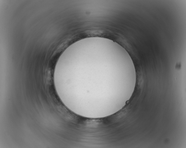X0000113140378200910021445