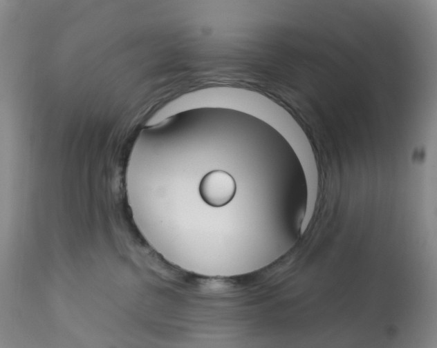 X0000113140380200910021445
