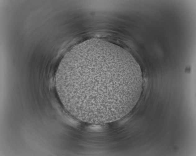X0000113140381200910021445