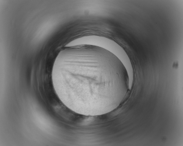 X0000113140382200910021445
