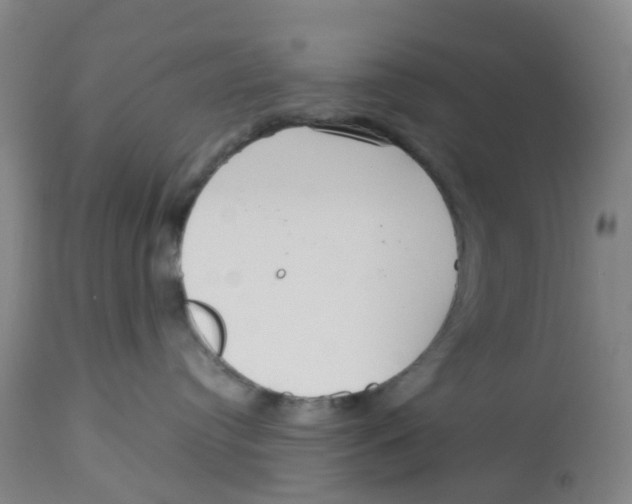 X0000113140384200910021445